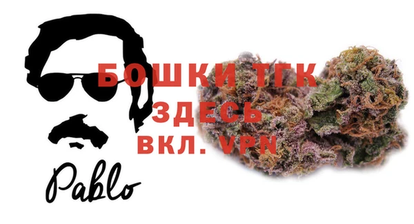 прущие грибы Абдулино