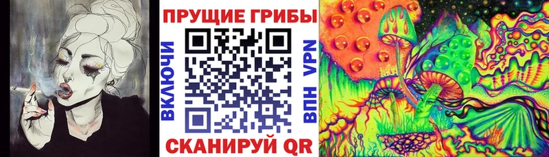 Псилоцибиновые грибы GOLDEN TEACHER  дарнет шоп  Власиха 